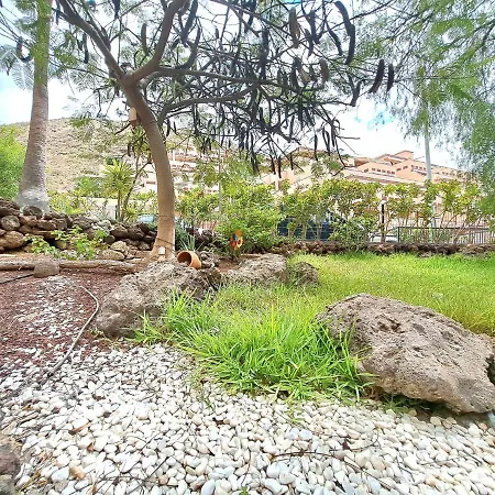 Bonito Estudio En Cristianos En Complejo Con Piscina Y Cerca De Playa * Los Cristianos (Tenerife)